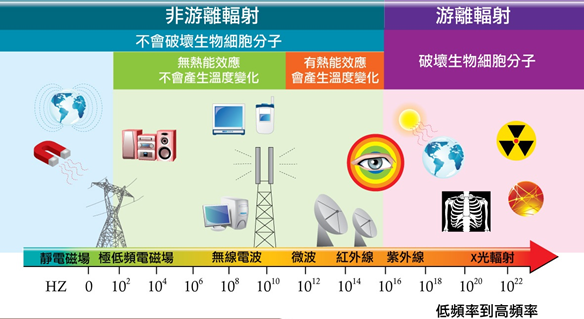 此圖表為演示上方文字的內容